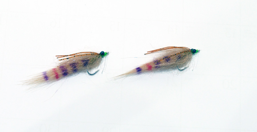 Go-to Flies for the Everglades by Chico Fernandez - Tail Fly Fishing  Magazine