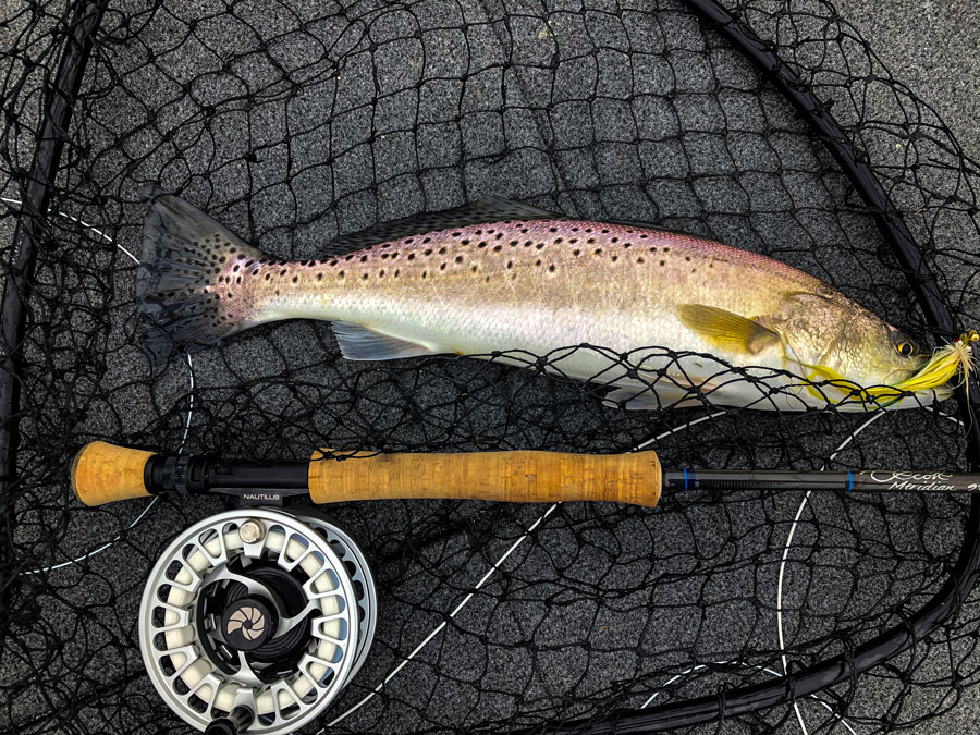 How To Catch Big Seatrout on Fly Fishing Tackle